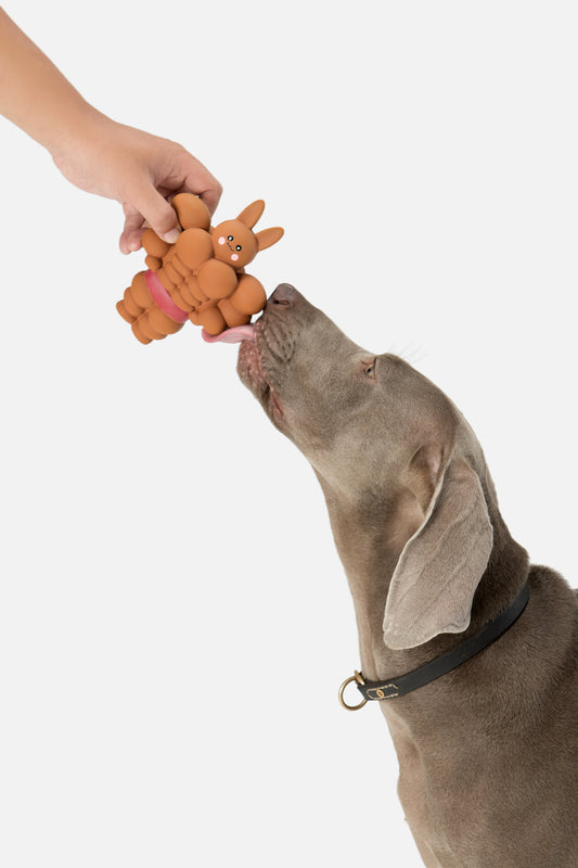 PUPSOOH “Buff Bunny” Latex Dog Toy / 小犬計画「バフバニー」ラテックスドッグトイ