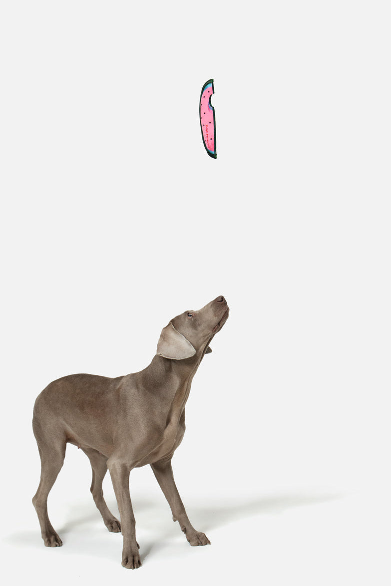 PUPSOOH “Watermelon Flyer” Dog Toy / 小犬計画「スイカフライヤー」ドッグトイ