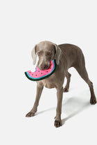 PUPSOOH “Watermelon Flyer” Dog Toy / 小犬計画「スイカフライヤー」ドッグトイ