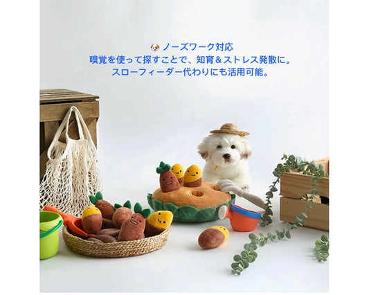 Hide &Seek Sweet Potato Farm Snuffle Toy Set/もぐもぐスイートポテト畑 ノーズワークトイセット