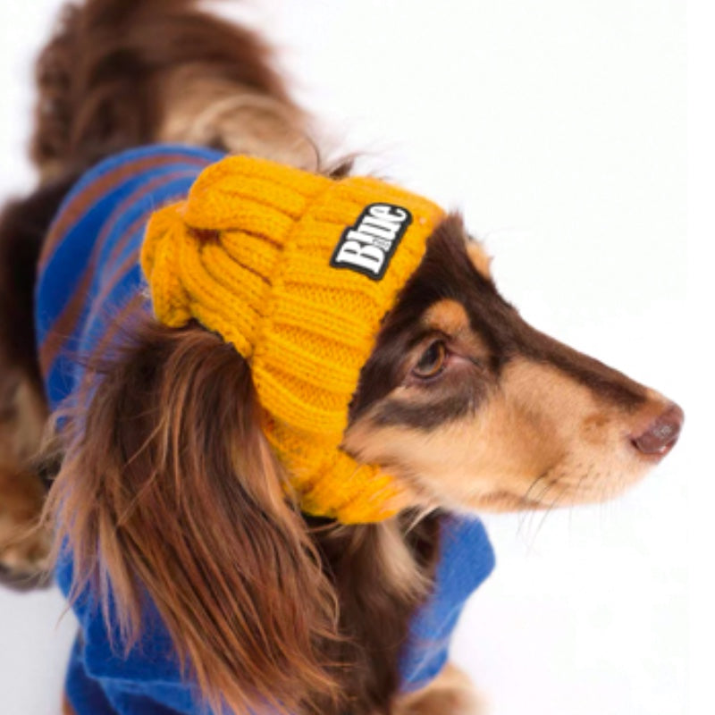 Colorful Knit Pet Cold Cap/多彩ニットペットキャップ