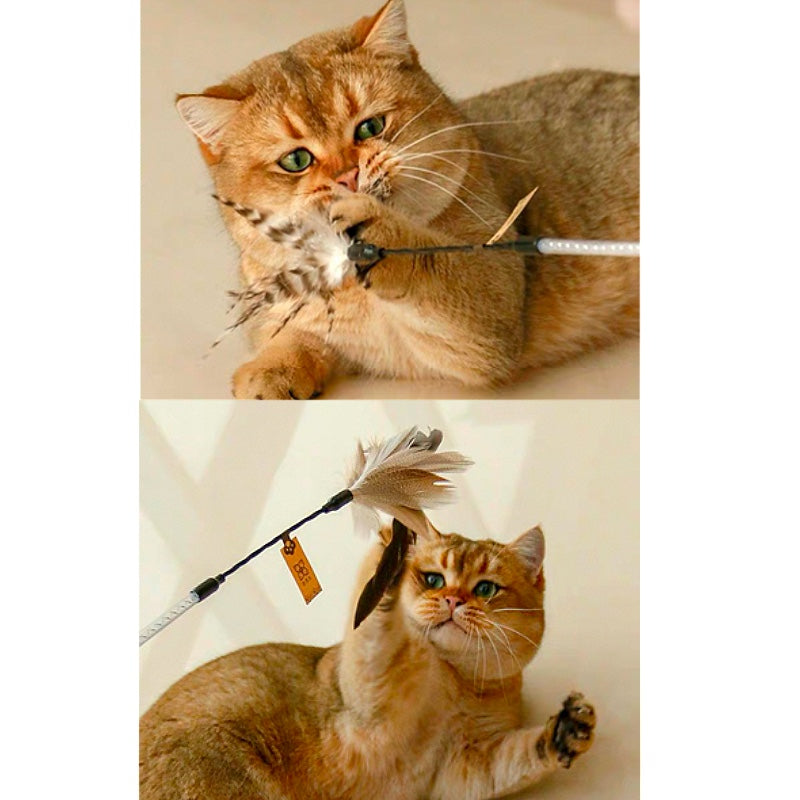 Feather Teaser Cat Wand/フェザーティーザーキャットワンド