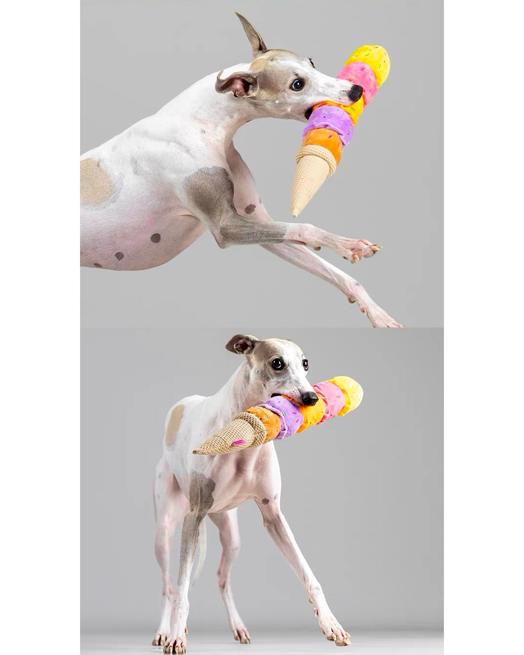 Rainbow Ice Cream Dog Toy/五彩アイスクリーム 犬用おもちゃ
