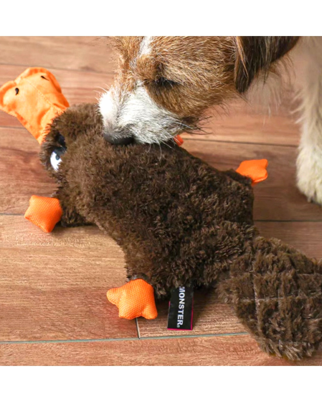 Squeaky Platypus Soft Plush Dog Toy / もふもふカモノハシ スクイーカー入り ドッグトイ