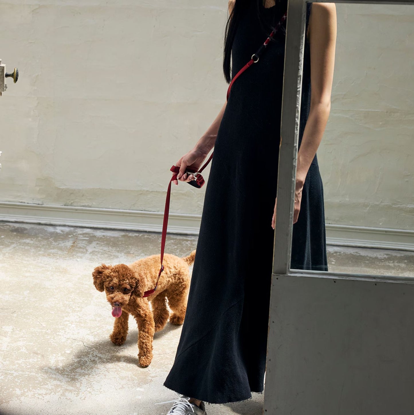 HANDS FREE LEASH / ハンズフリーリーシュ MANDARINE BROTHERS