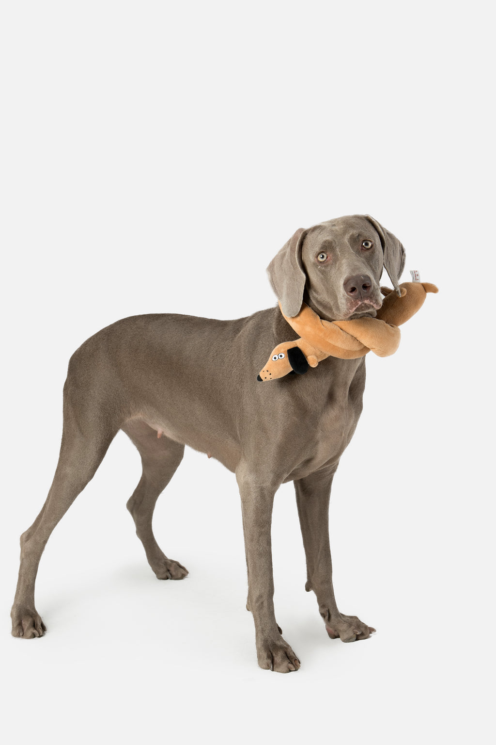 PUPSOOH “Long Dog” Plush Toy / 小犬計画「ロングドッグ」ぬいぐるみトイ