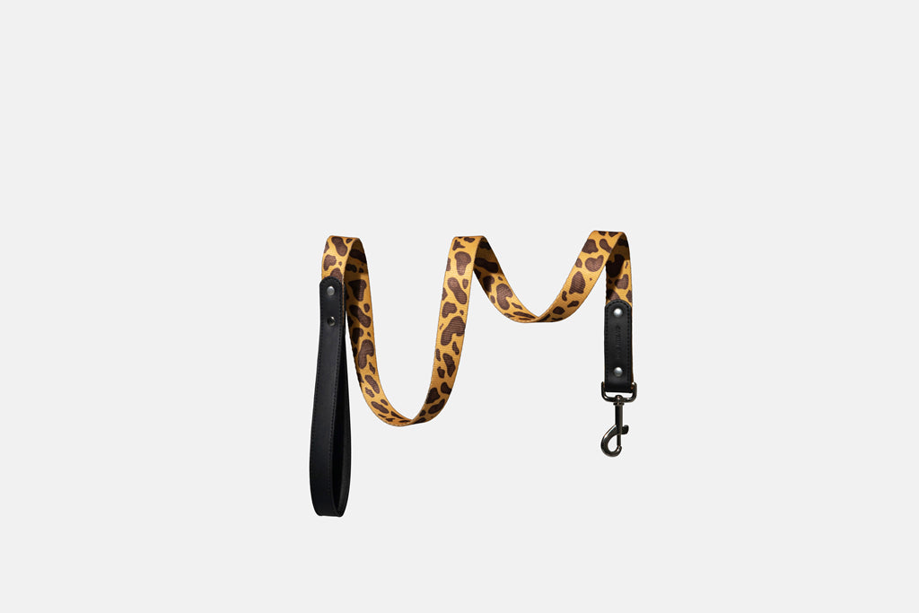 Wild Stripe Leash & Collar Set / アニマル柄 リード＆首輪セット