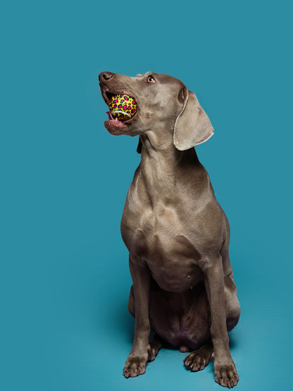 “Leopard Pop” Tennis Ball / 「レオパードポップ」テニスボールトイ