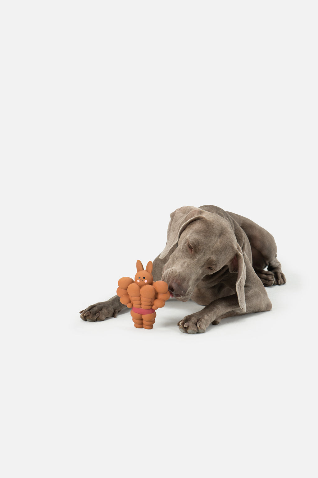 PUPSOOH “Buff Bunny” Latex Dog Toy / 小犬計画「バフバニー」ラテックスドッグトイ