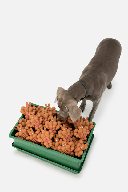 PUPSOOH “Buff Bunny” Latex Dog Toy / 小犬計画「バフバニー」ラテックスドッグトイ