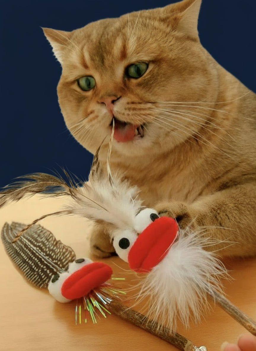 “Crazy Feather Buddy” Cat Toy /「クレイジーフェザーバディ」キャットトイ