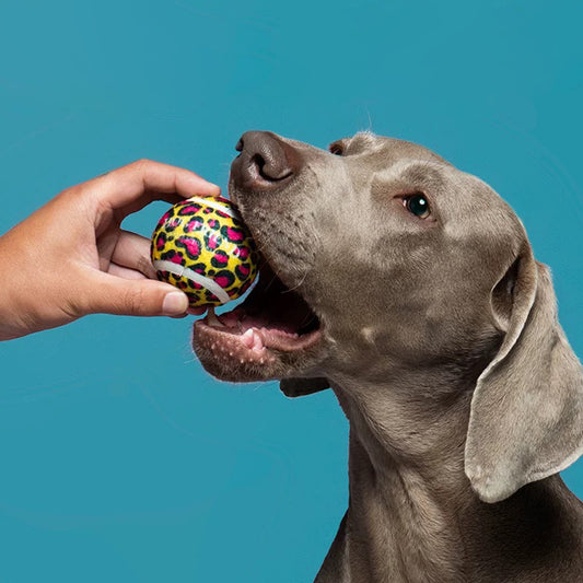 “Leopard Pop” Tennis Ball / 「レオパードポップ」テニスボールトイ