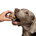 “Leopard Pop” Tennis Ball / 「レオパードポップ」テニスボールトイ