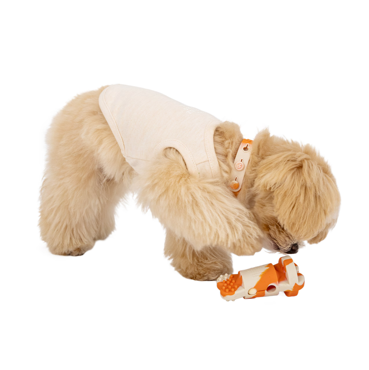 TRAINING SILICONE TOY MANDARINE BROTHERS