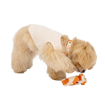 TRAINING SILICONE TOY MANDARINE BROTHERS