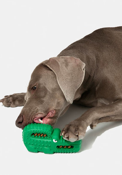 Silicone Croc Training Toy