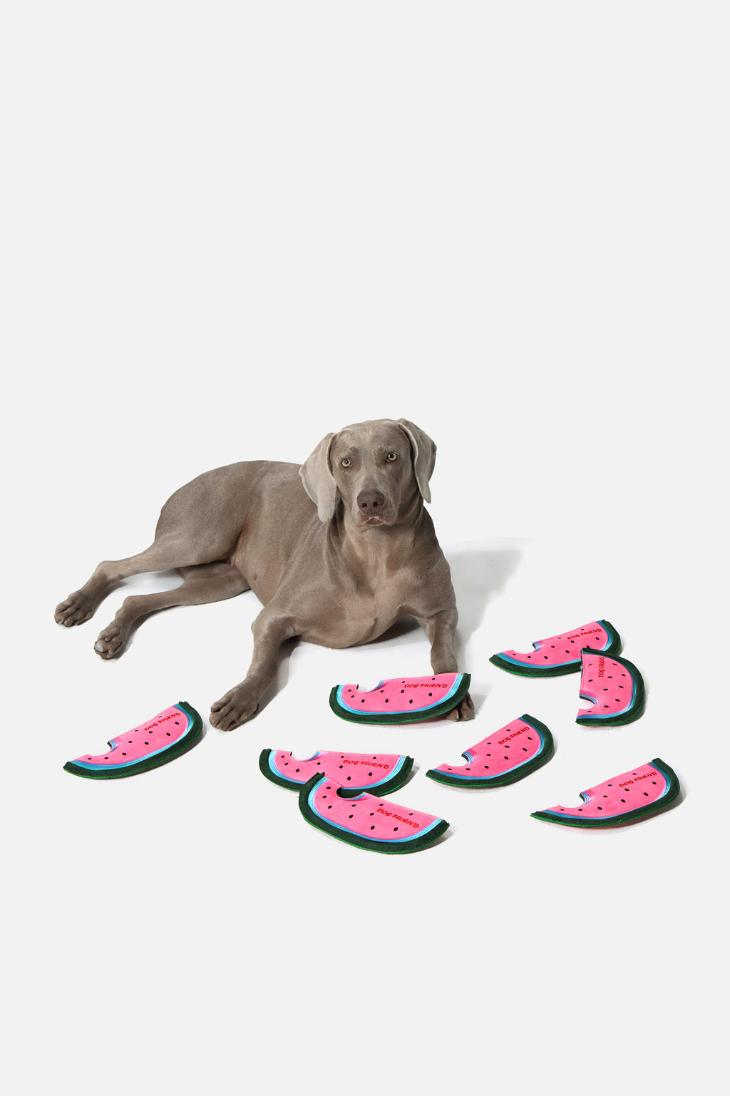 PUPSOOH “Watermelon Flyer” Dog Toy / 小犬計画「スイカフライヤー」ドッグトイ