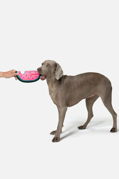 PUPSOOH “Watermelon Flyer” Dog Toy / 小犬計画「スイカフライヤー」ドッグトイ