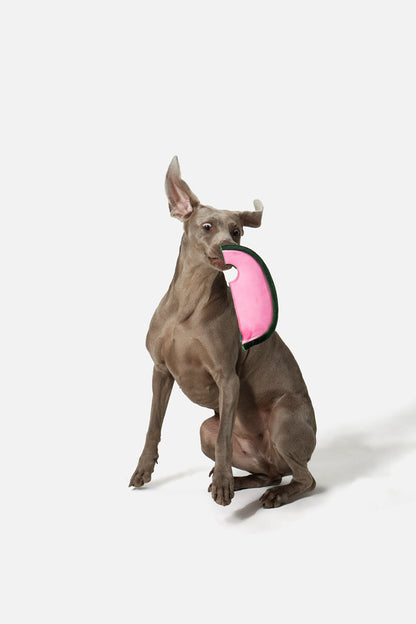 PUPSOOH “Watermelon Flyer” Dog Toy / 小犬計画「スイカフライヤー」ドッグトイ