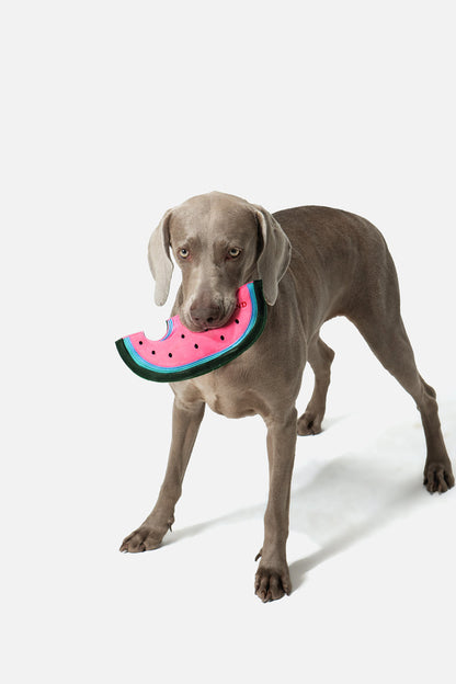 PUPSOOH “Watermelon Flyer” Dog Toy / 小犬計画「スイカフライヤー」ドッグトイ