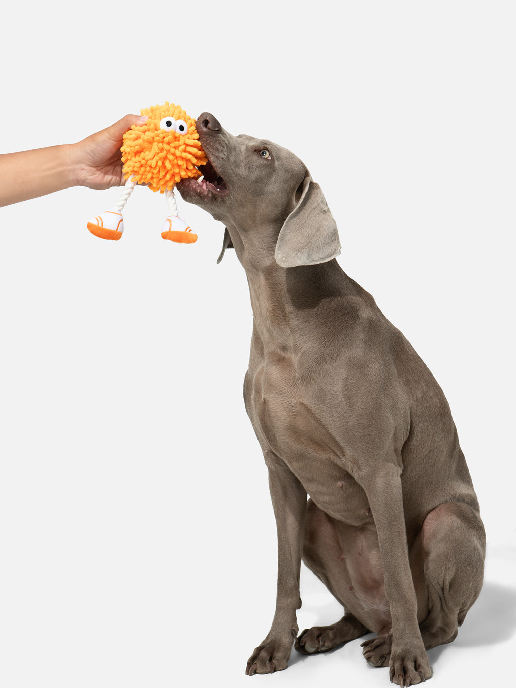 “Fuzzy Bouncer” Dog Toy  「ファジーバウンサー」ドッグトイ