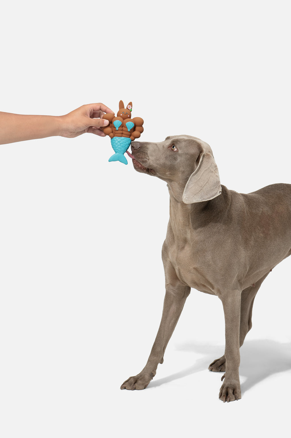 PUPSOOH “Mermaid Rabbit” Latex Dog Toy / 小犬計画「マーメイドラビット」ラテックスドッグトイ