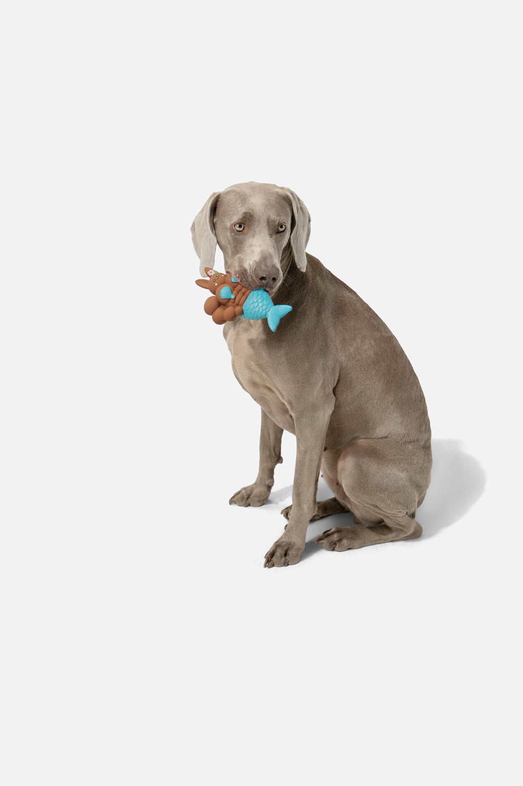 PUPSOOH “Mermaid Rabbit” Latex Dog Toy / 小犬計画「マーメイドラビット」ラテックスドッグトイ