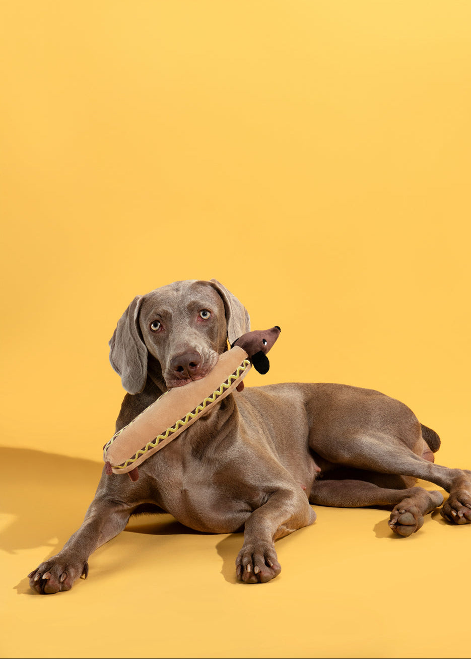 “Hot Dog Pup” Plush Toy / 「ホットドッグパップ」ぬいぐるみトイ