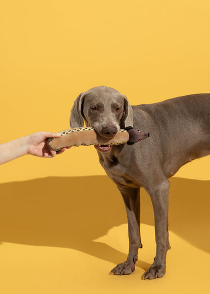 “Hot Dog Pup” Plush Toy / 「ホットドッグパップ」ぬいぐるみトイ