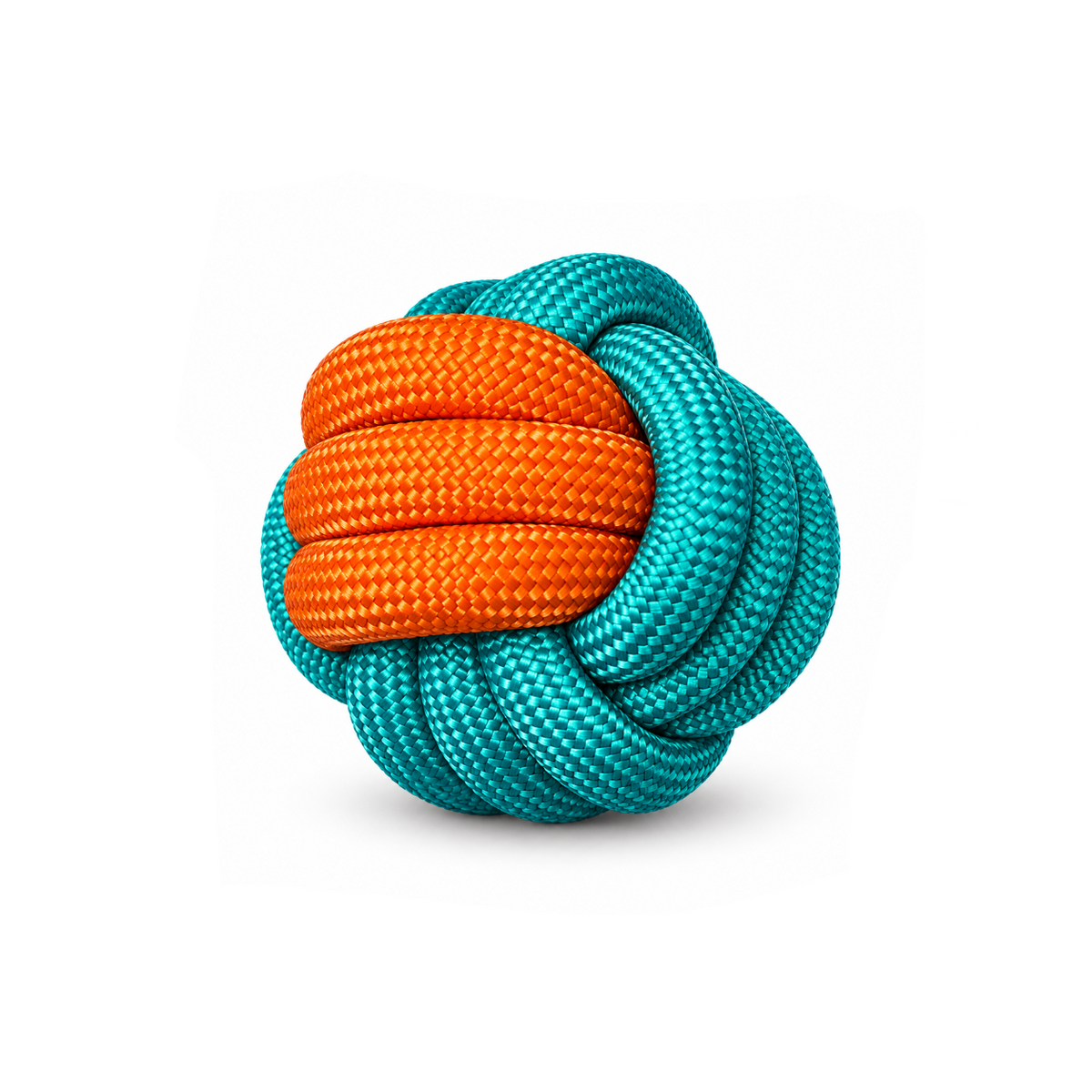 TwistBite Rope Dog Toy/カラフル編み込みデンタルロープトイ