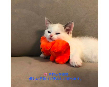 Candy Bear SqueakyToy/ぷにぷにキャンディベア