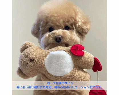 Sweetheart Hide-N-Squeak Bear/ハートポケットベア