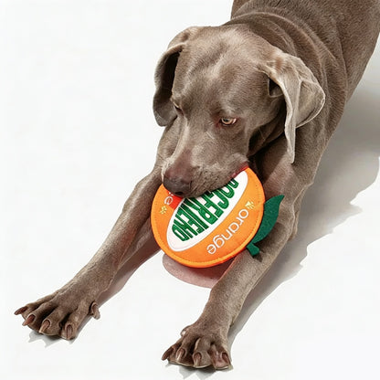 “Orange Flyer” Dog Toy / 「オレンジフライヤー」ドッグトイ