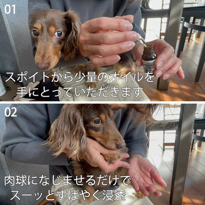 Squalane Paw & Skin Care Oil/スクワラン肉球＆スキンケアオイル