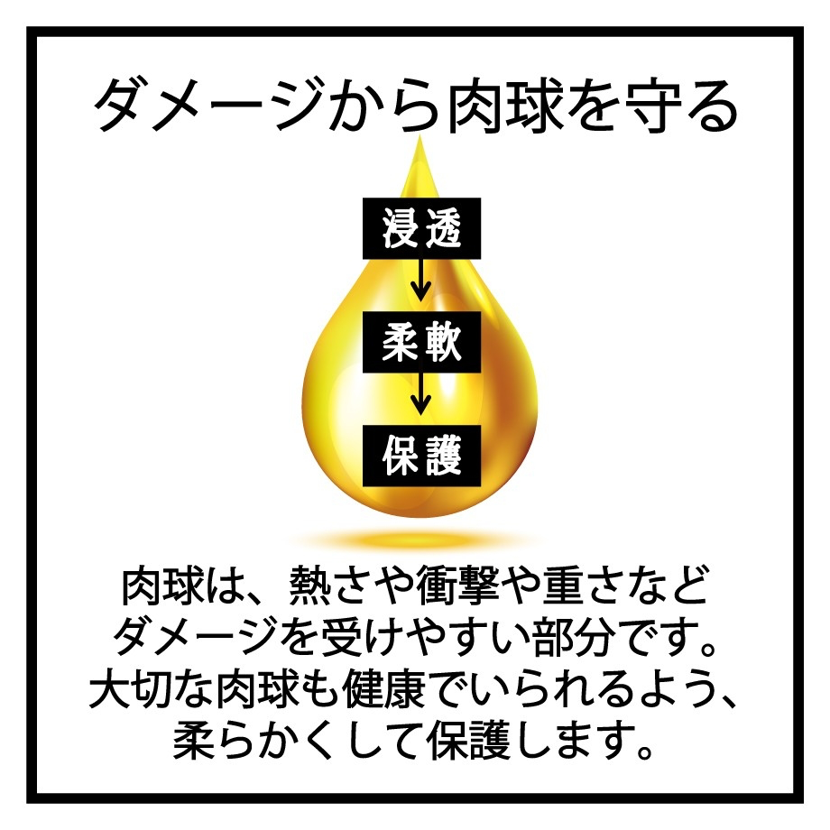 Squalane Paw & Skin Care Oil/スクワラン肉球＆スキンケアオイル