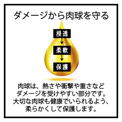 Squalane Paw & Skin Care Oil/スクワラン肉球＆スキンケアオイル