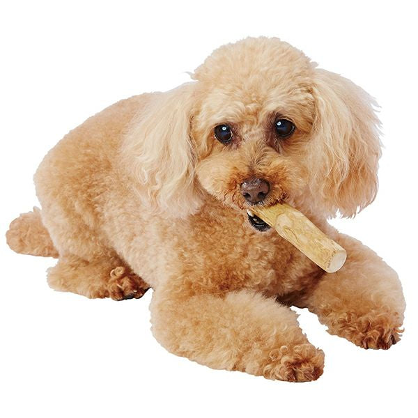 Coffee Wood Dog Chew Toy/エシカルメイト コーヒーウッドトイ