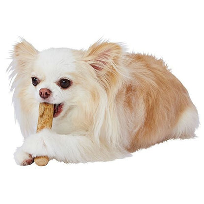 Coffee Wood Dog Chew Toy/エシカルメイト コーヒーウッドトイ