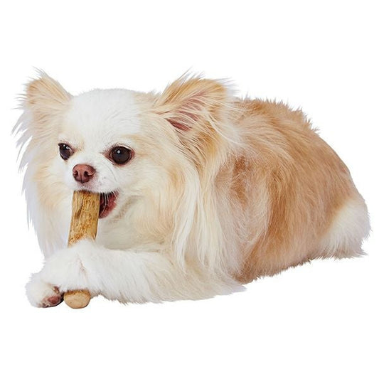 Coffee Wood Dog Chew Toy/エシカルメイト コーヒーウッドトイ