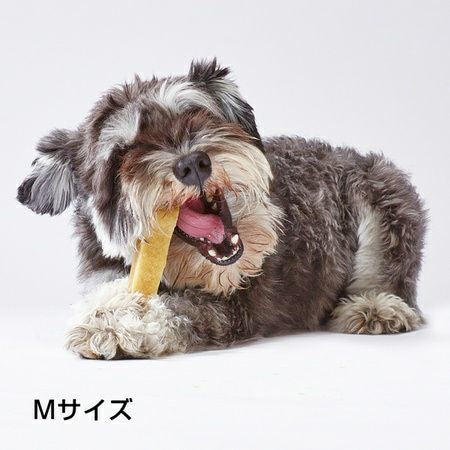 Himalayan Hard Cheese Dog Chew/ヒマラヤマウンテンハードチーズ