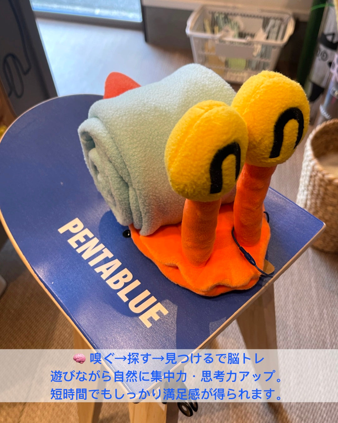 Snuffle Snail Nosework Toy/スナッフルスネイル ノーズワークトイ 犬用おもちゃ