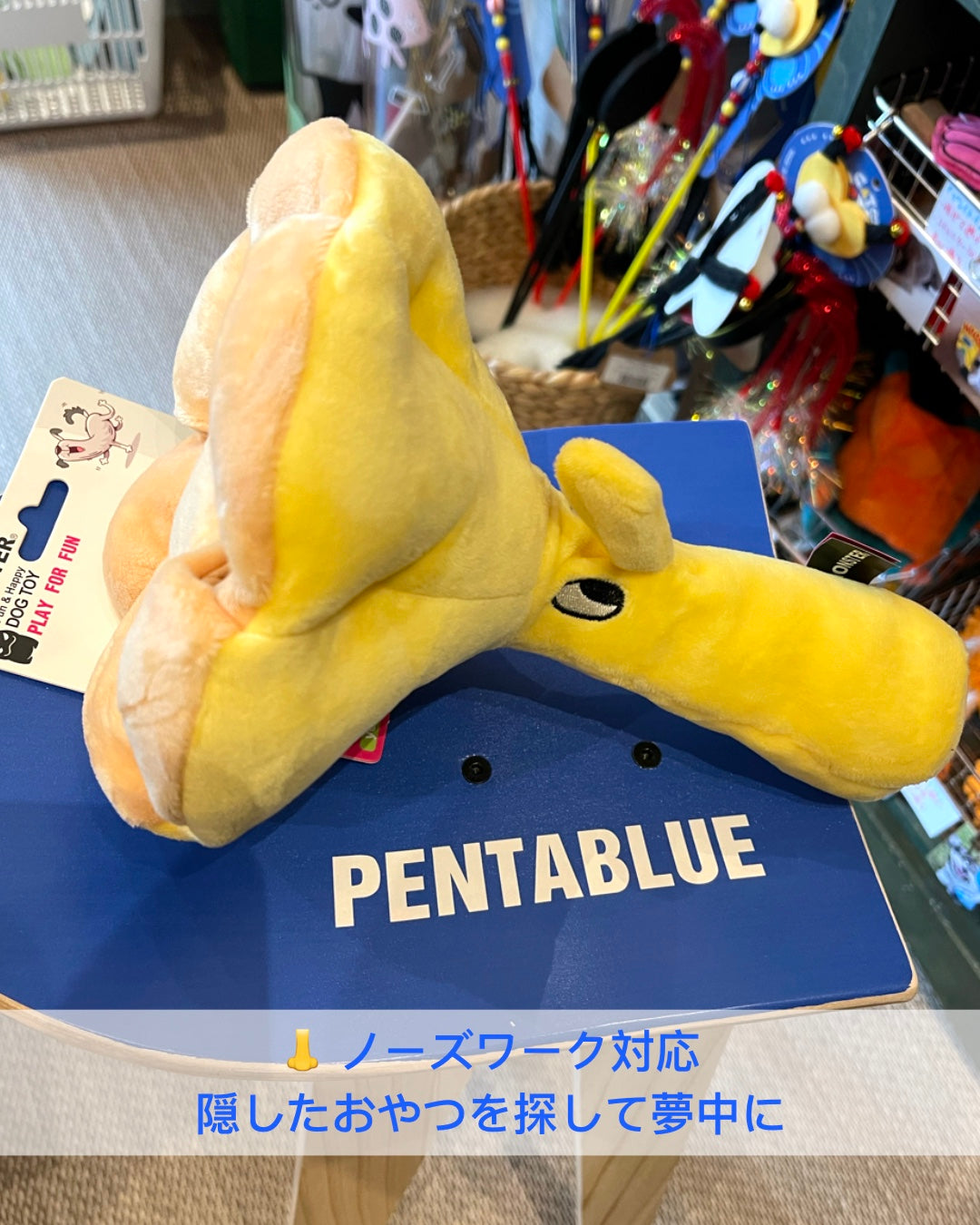 Hidden Treat Mushroom Toy/マッシュルームシリーズ ノーズワークトイ