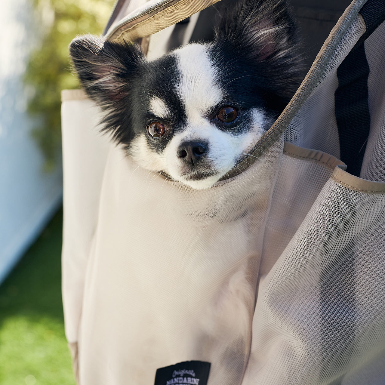 MESH WINSTON HUG BAG/メッシュウィンストンハグバッグ
