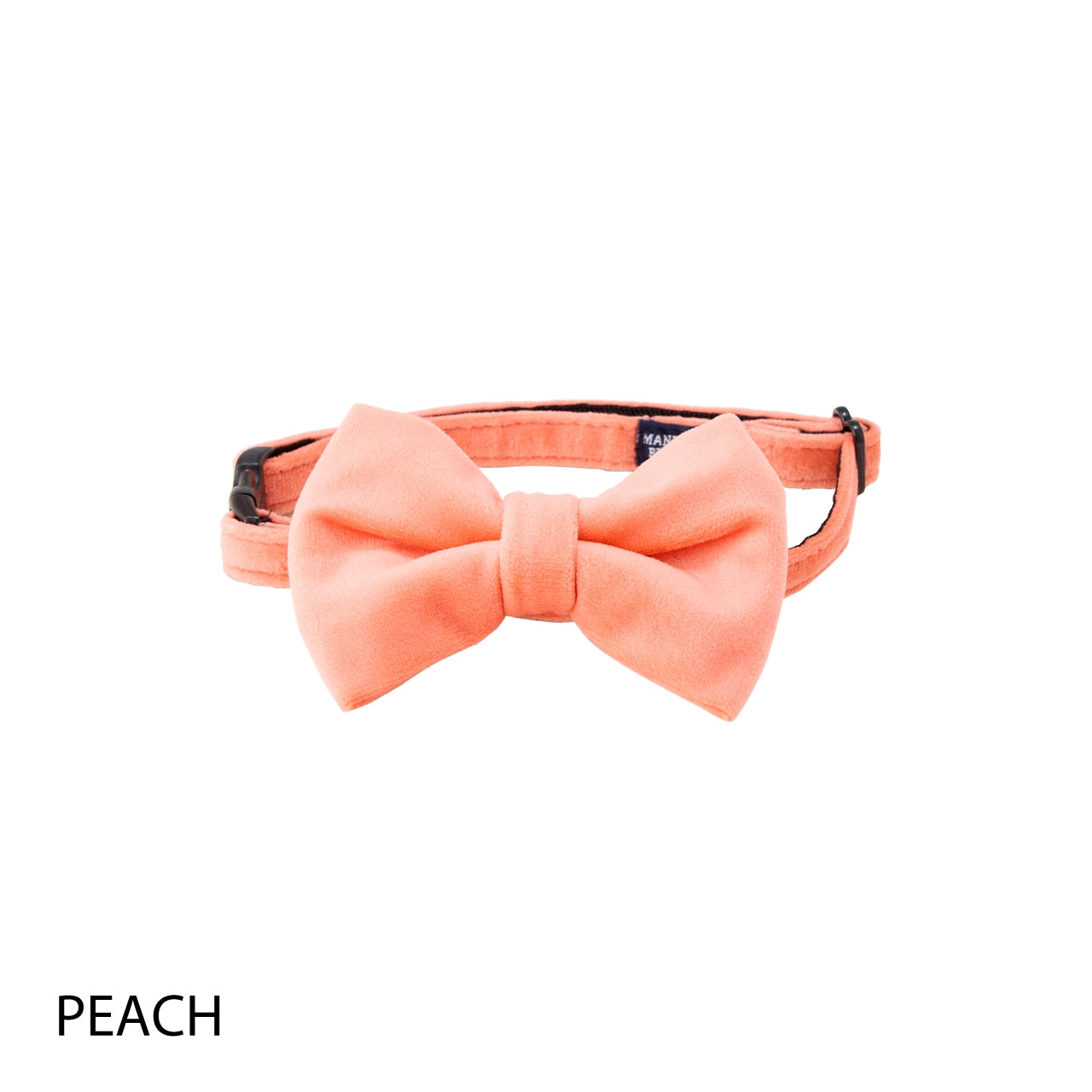 BOW TIE/ボウタイ