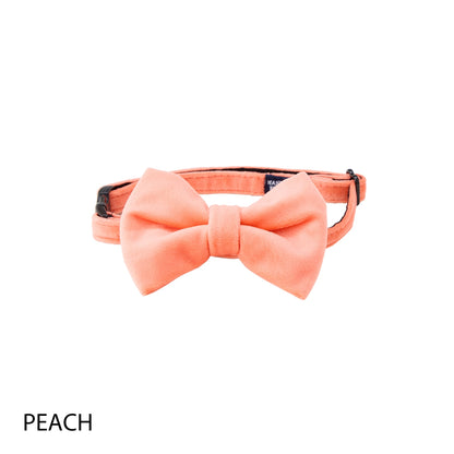 BOW TIE/ボウタイ