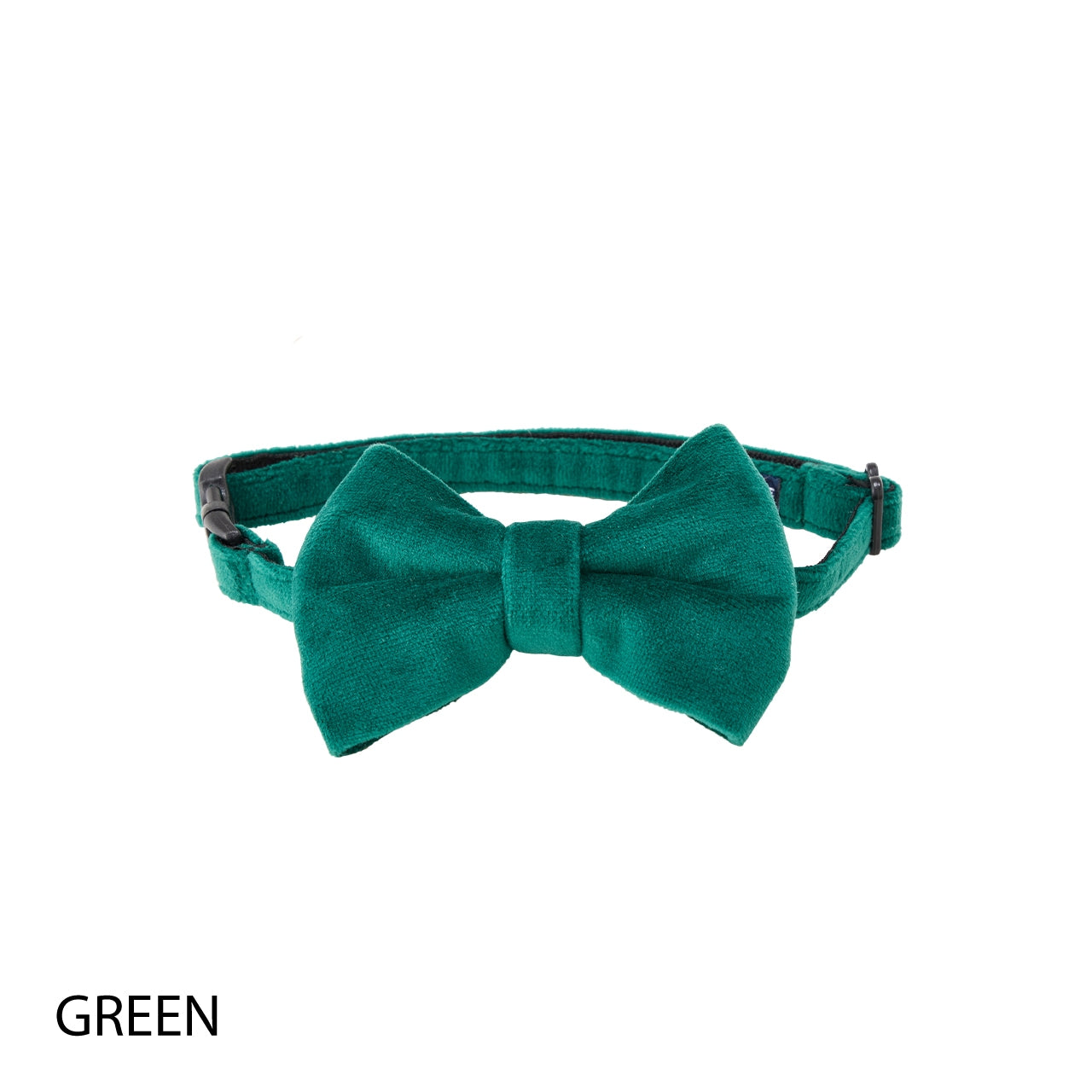 BOW TIE/ボウタイ