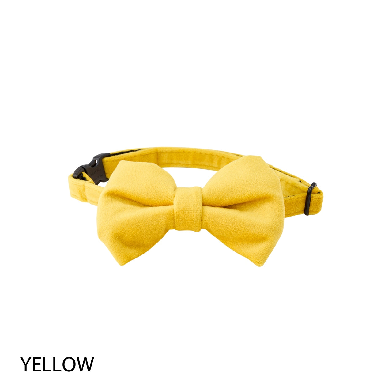 BOW TIE/ボウタイ