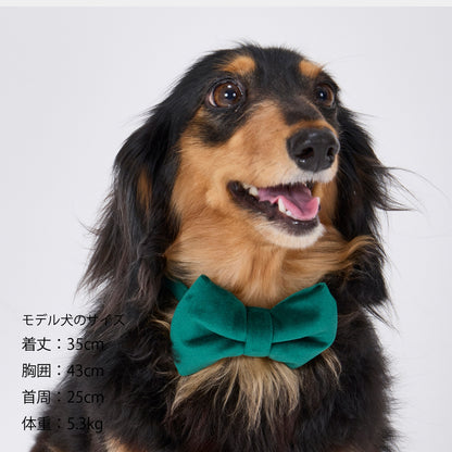 BOW TIE/ボウタイ