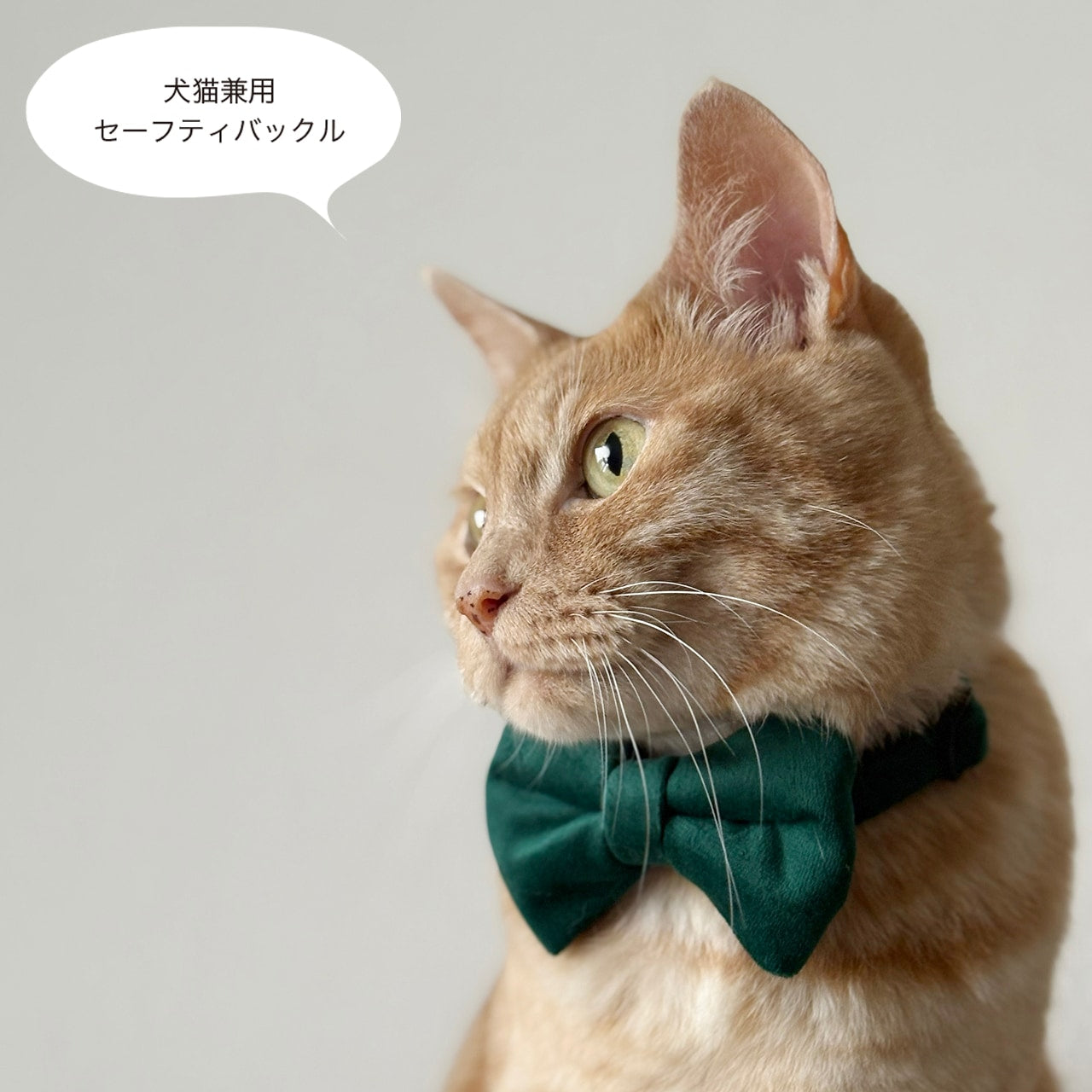 BOW TIE/ボウタイ