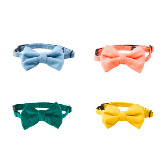 BOW TIE/ボウタイ